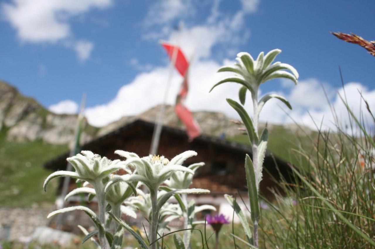 Unterlutaschg-Chalet Appartement Am Hof Slingia Стая снимка